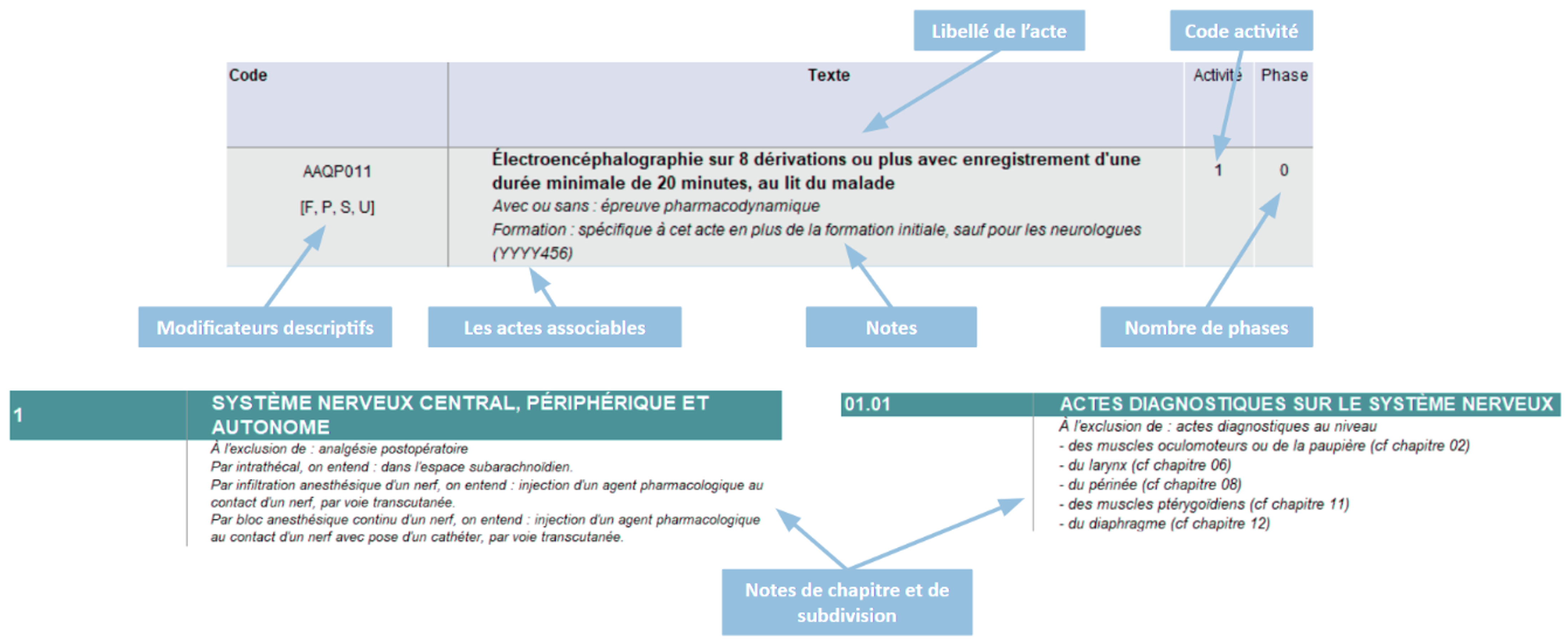 Lors de la révision de la description de l'acte, les travaux des comités cliniques porteront sur les éléments suivants